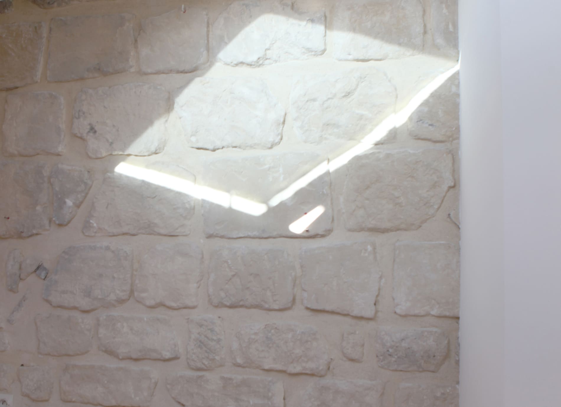 Rénovation écologique d’un appartement à Paris – Belleville - 2020